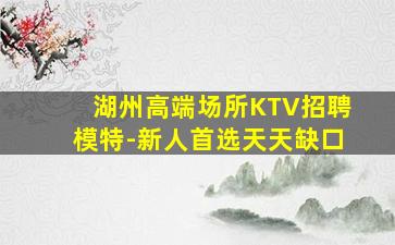 湖州高端场所KTV招聘模特-新人首选天天缺口